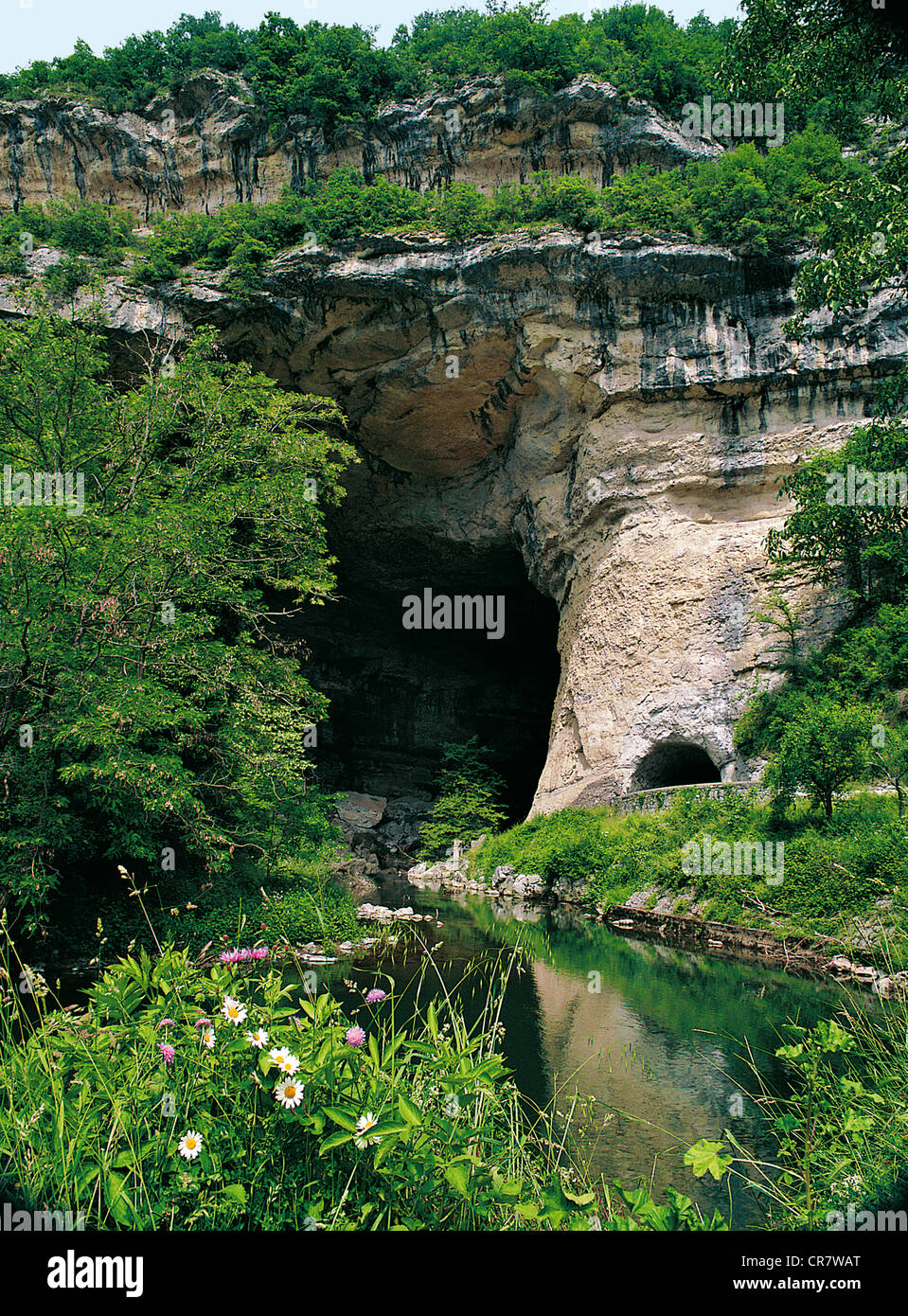 Francia, Ariège, Le Mas d'Azil, l'entrata della grotta Foto Stock
