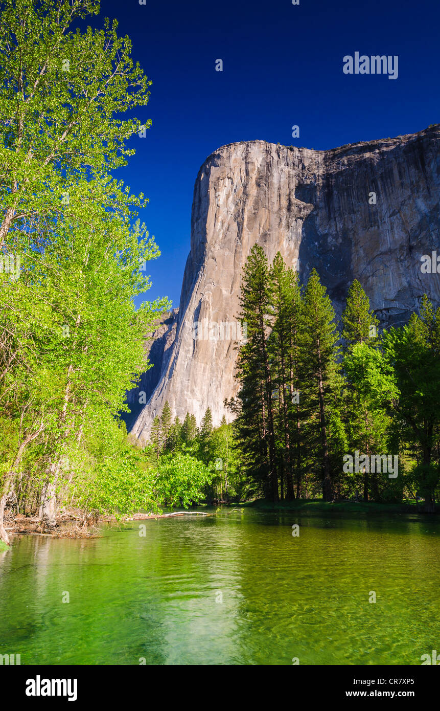 El Capitan sopra il fiume Merced, Yosemite National Park, California USA Foto Stock