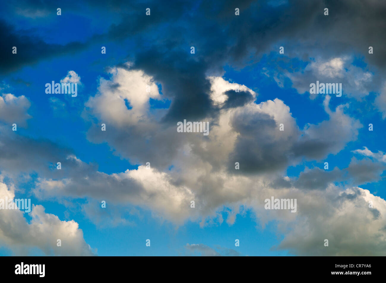 Puffy white cumulus nuvole contro un cielo blu chiaro Foto Stock