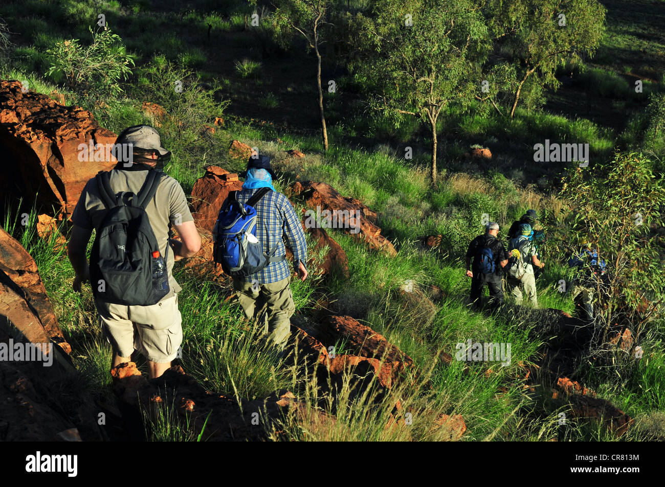 Australia, Territorio del Nord, Watarrka National Park, George Gill gamma colline tra Kings Canyon e Kathleen Springs, Foto Stock