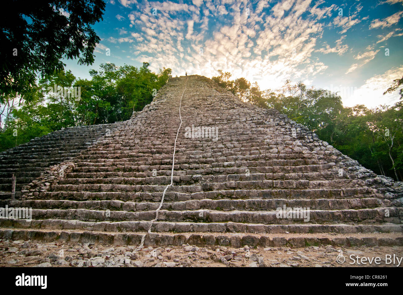 Coba rovine Maya si erge a 136 metri di altezza scontornamento una persona sulla sommità e la Riviera Maya, la penisola dello Yucatan. Quintana Roo, Messico Foto Stock