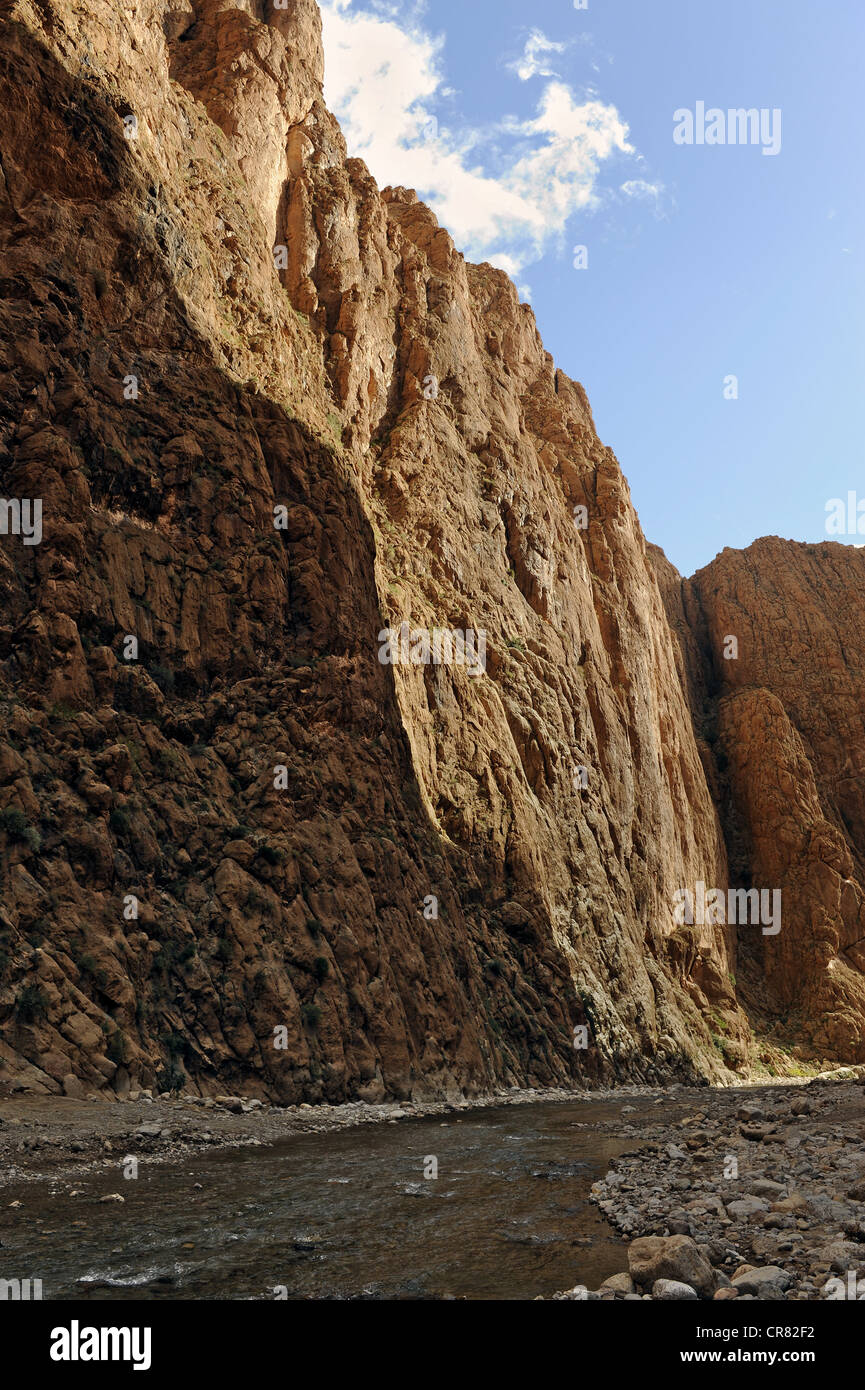 Gorge du Todra, Todra Gorge, Atlante, vicino a Tinghir, sud del Marocco, Marocco, Maghreb, Africa Settentrionale, Africa Foto Stock