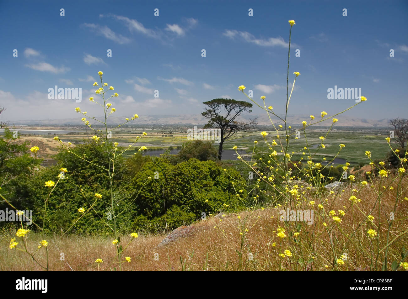 Coyote Hills Regional Park Foto Stock