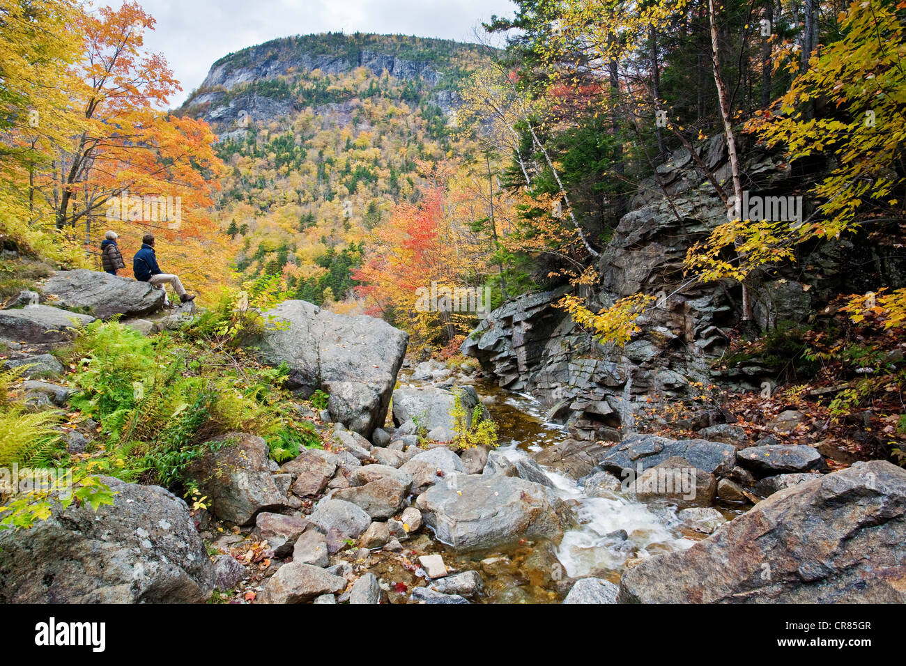 Stati Uniti, New England, New Hampshire, White Mountains National Forest, Hart posizione, alla cascata di argento Foto Stock