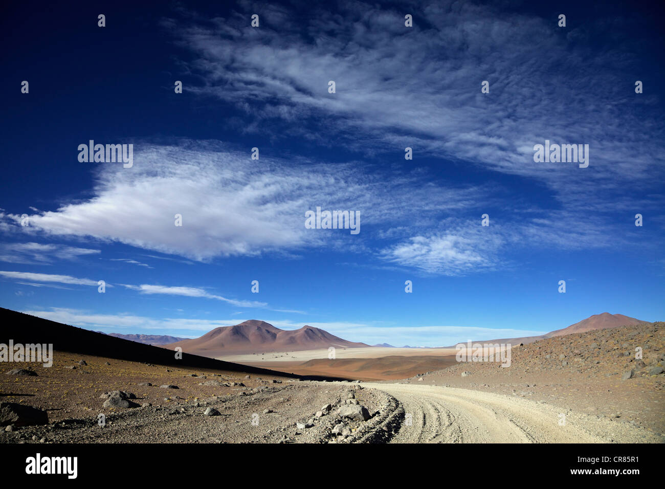 Pista sterrata in andina eduardo abaro national park, altiplano, Potosi, sud della Bolivia, SUD AMERICA Foto Stock