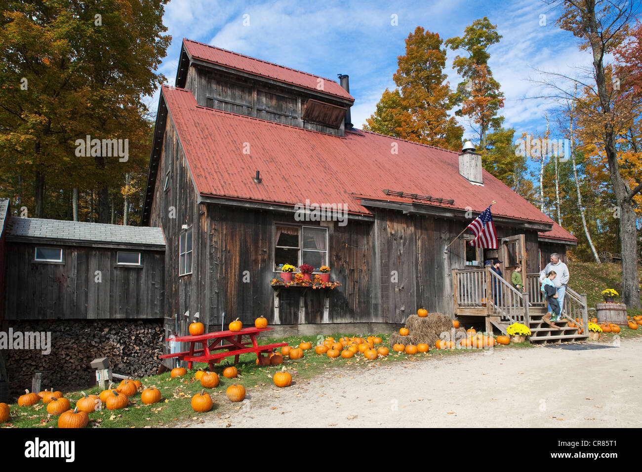 Stati Uniti, New England, Vermont, negozio in una vecchia capanna di zucchero in legno nei dintorni di Plymouth Foto Stock