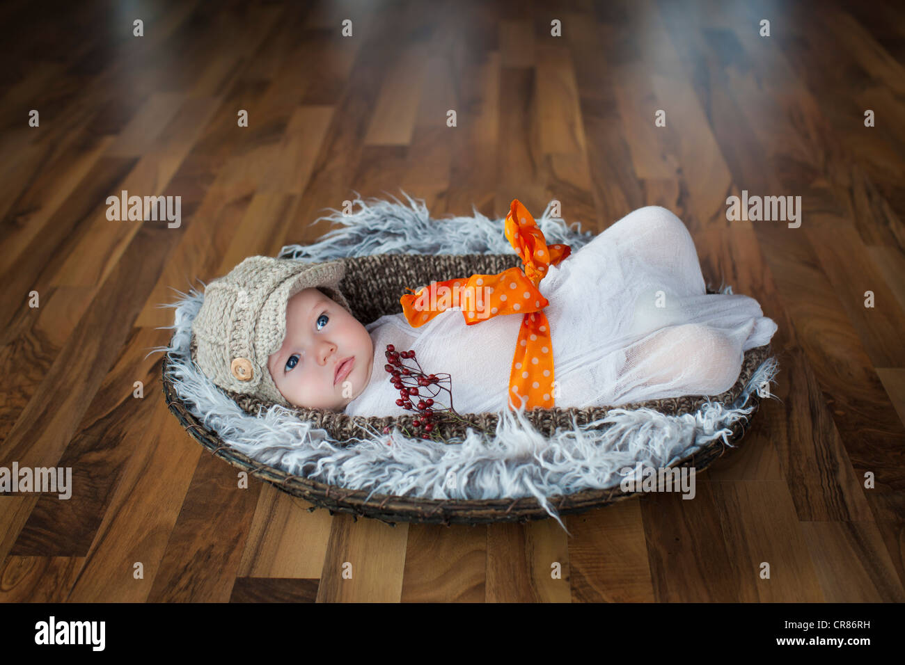 Baby, 2 mesi, giacente in un cestello con archetto Foto Stock