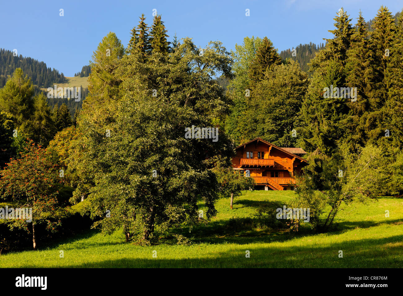 La Svizzera, nel Cantone di Vaud, Villars sur Ollon, chalet Foto Stock