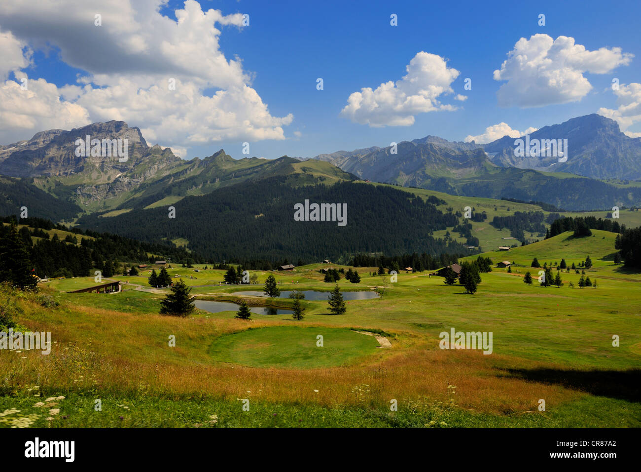 La Svizzera, nel Cantone di Vaud, golf di Villars sur Ollon Foto Stock