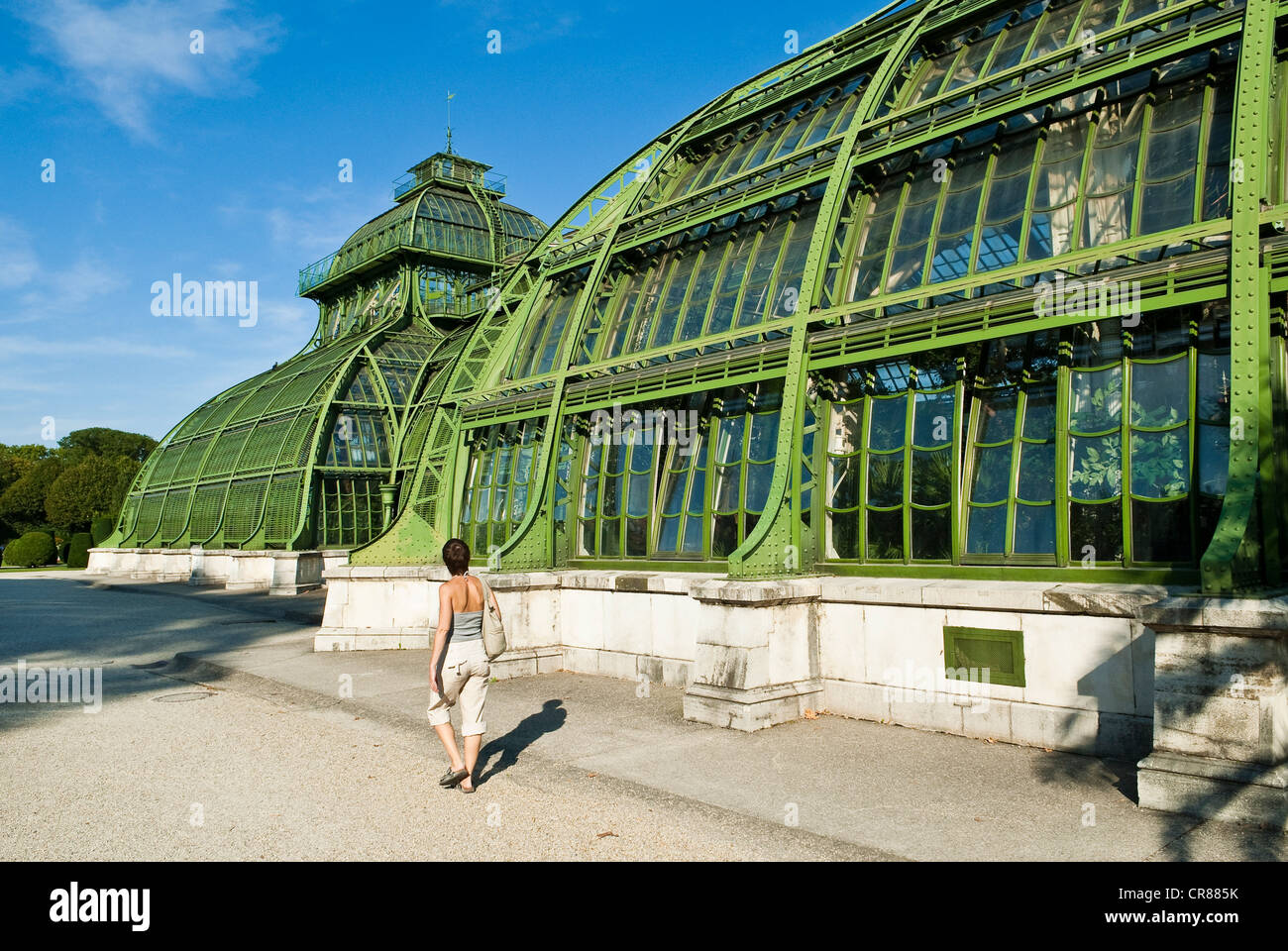 Austria, Vienna, centro storico Patrimonio Mondiale UNESCO, serra con palme nel parco di Schonbrunn Foto Stock
