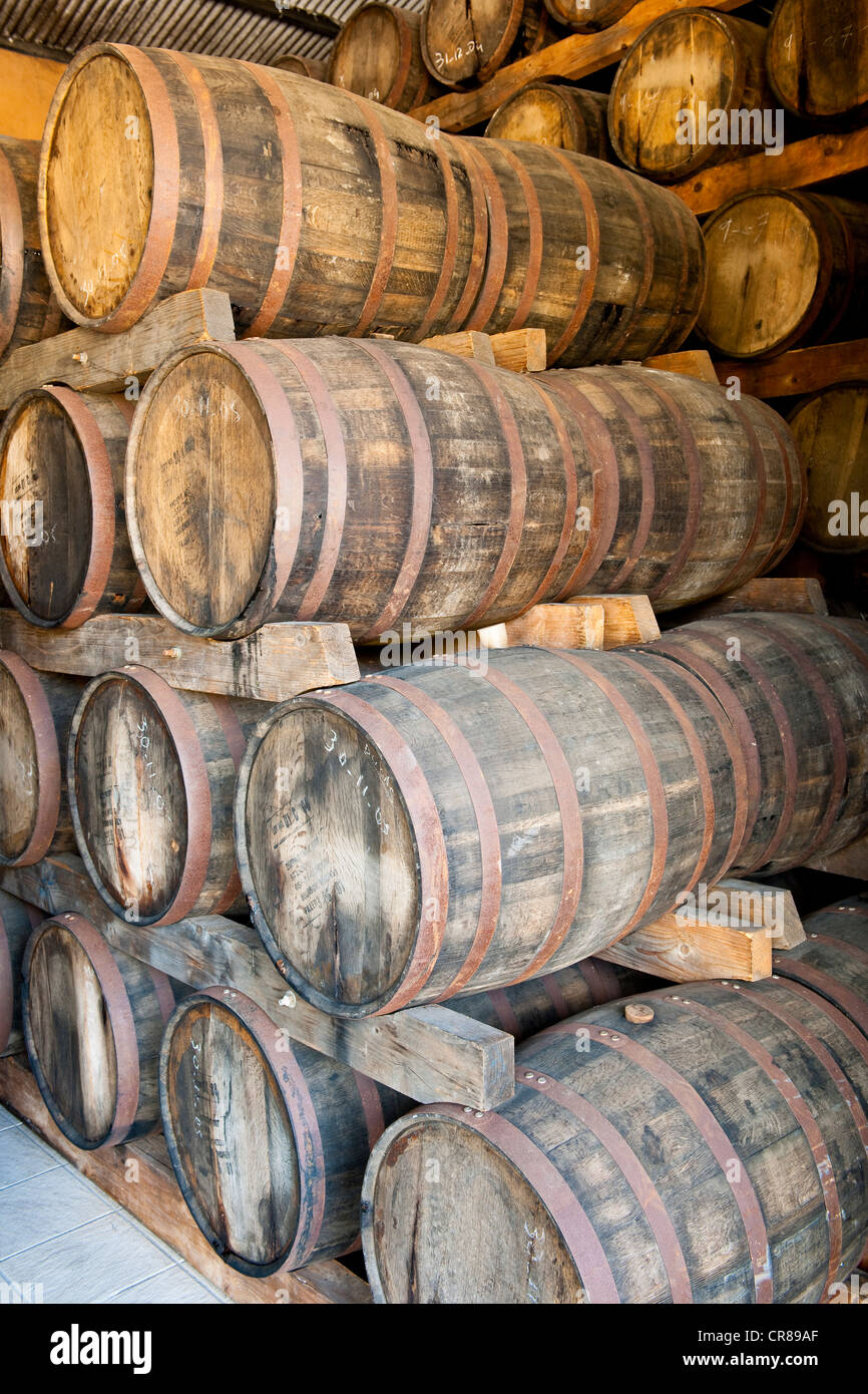 Francia, Martinica (Indie occidentali francesi), Le Carbet, distilleria Neisson, AOC Martinique Rhum, menzione obbligatoria Foto Stock