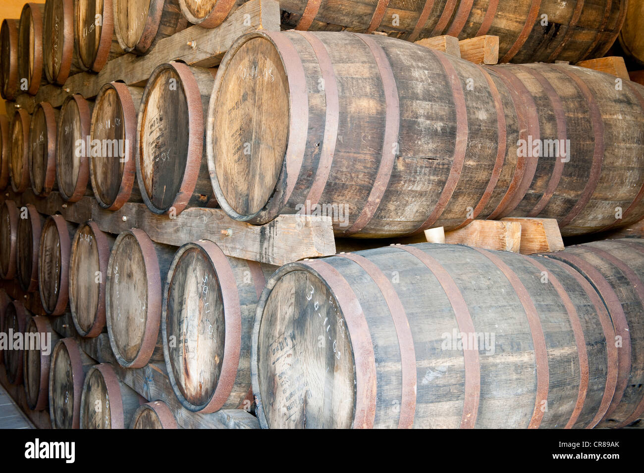Francia, Martinica (Indie occidentali francesi), Le Carbet, distilleria Neisson, AOC Martinique Rhum, menzione obbligatoria Foto Stock