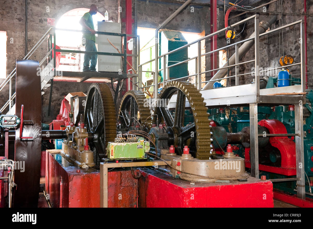 Francia, Martinica (Indie occidentali francesi), Le Carbet, distilleria Neisson, AOC Martinique Rhum, menzione obbligatoria Foto Stock