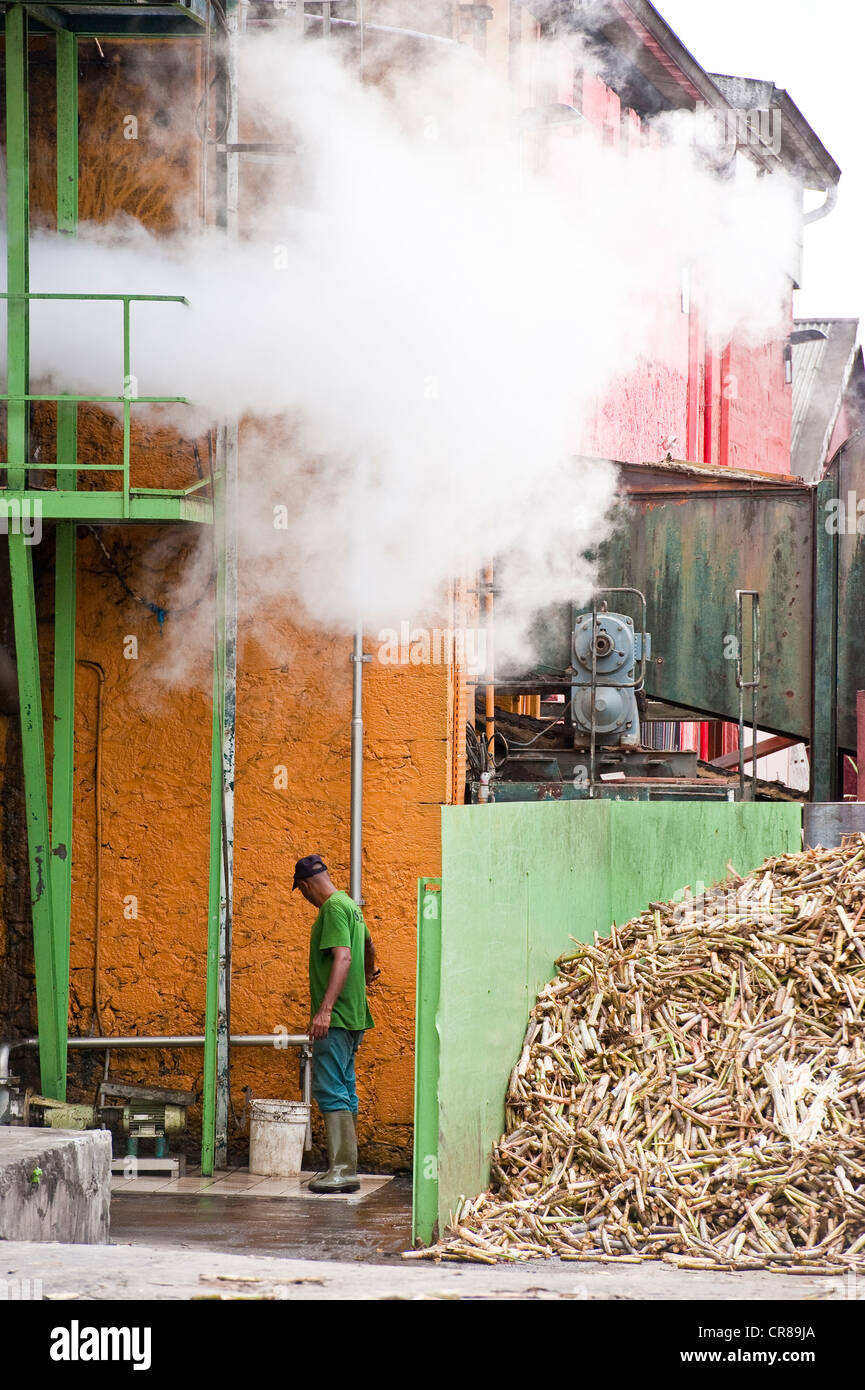 Francia, Martinica (Indie occidentali francesi), Le Carbet, distilleria Neisson, AOC Martinique Rhum, menzione obbligatoria Foto Stock
