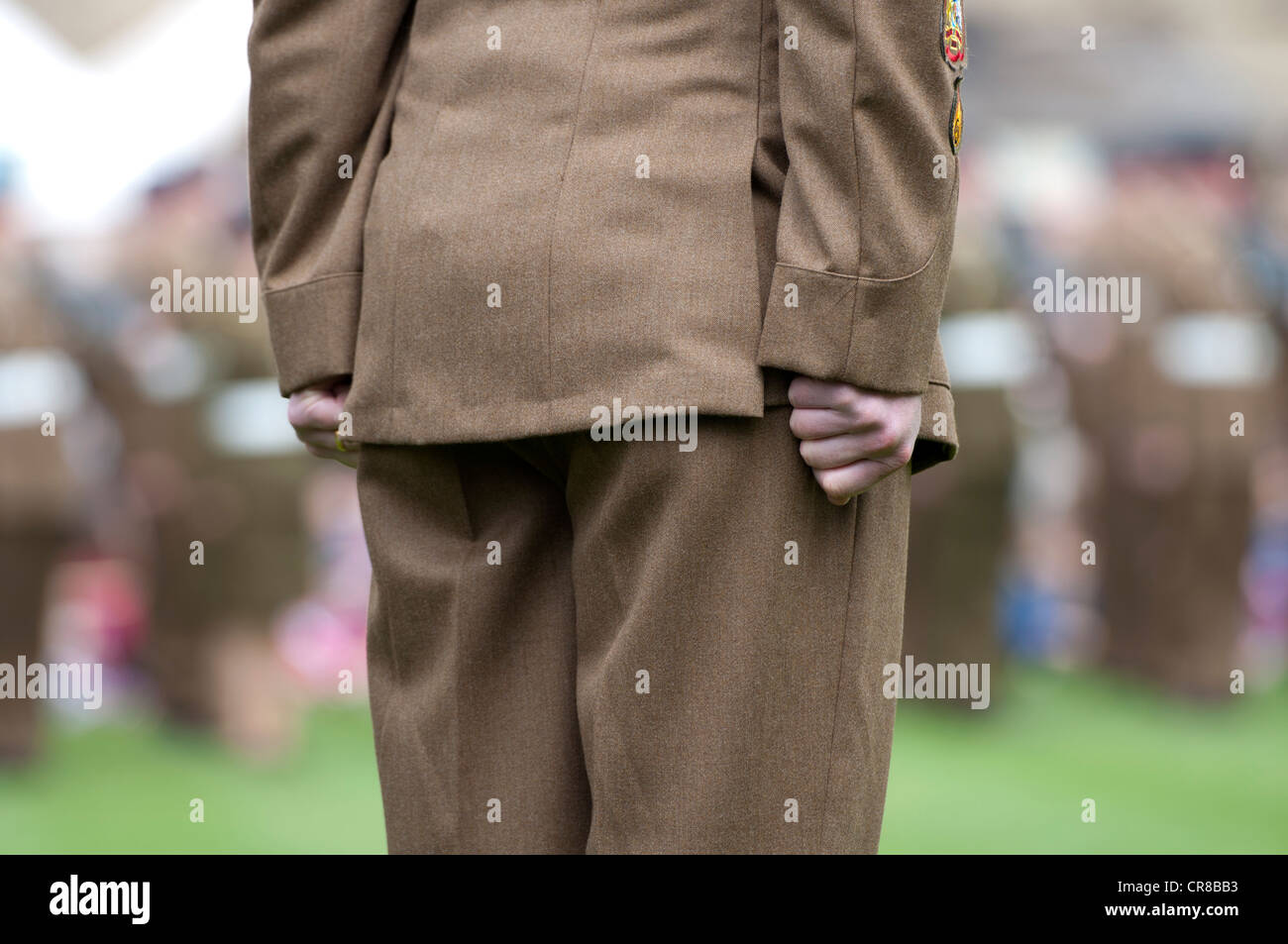 Soldato all attenzione Foto Stock