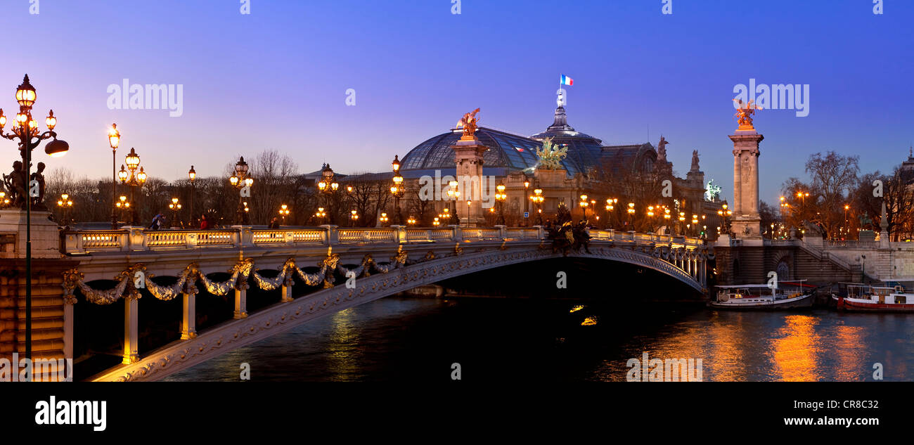 Francia, Parigi, le rive della Senna Patrimonio Mondiale dell'UNESCO, il Grand Palais e la Alexander III Bridge Foto Stock