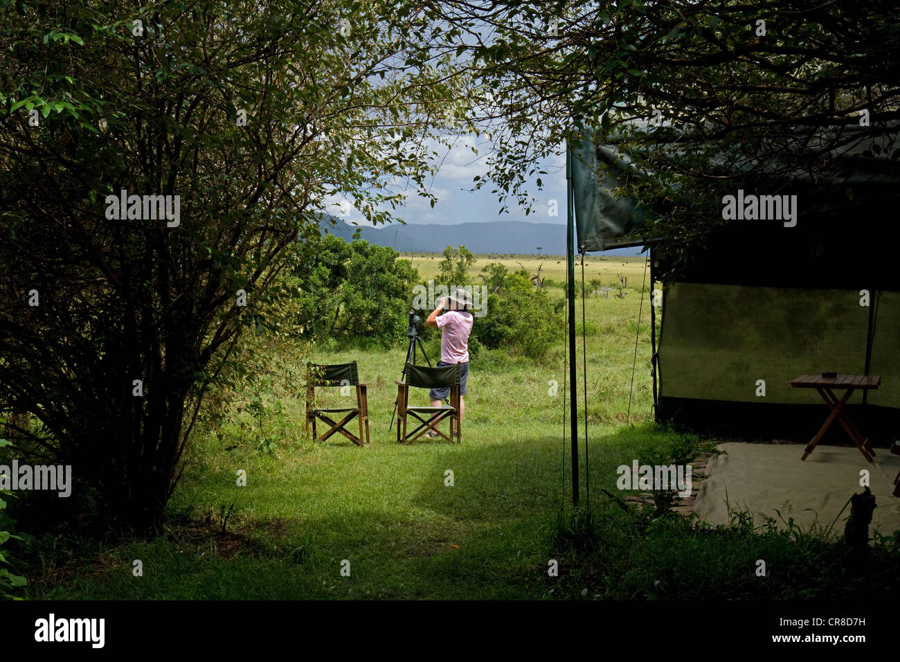 Donna che utilizza un binocolo dalla tenda safari Foto Stock