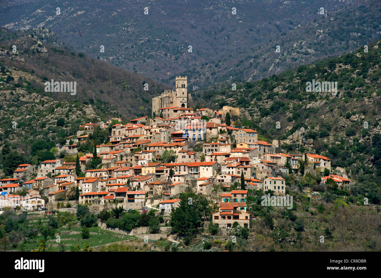 Francia, Pirenei orientali, Eus, etichettati Les Plus Beaux Villages de France, borgo medievale costruito su una collina Foto Stock