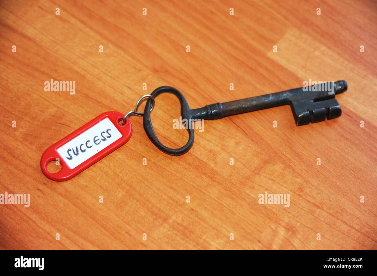 Anello chiave con il segno 'success', immagine simbolica per "la chiave del successo" Foto Stock