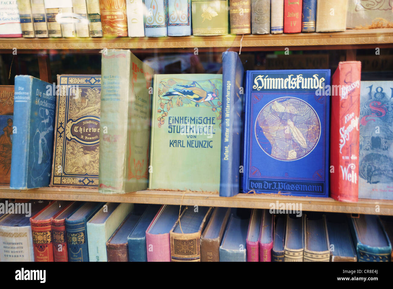 Scaffale, book store nel centro storico di Vienna, Austria, Europa Foto Stock