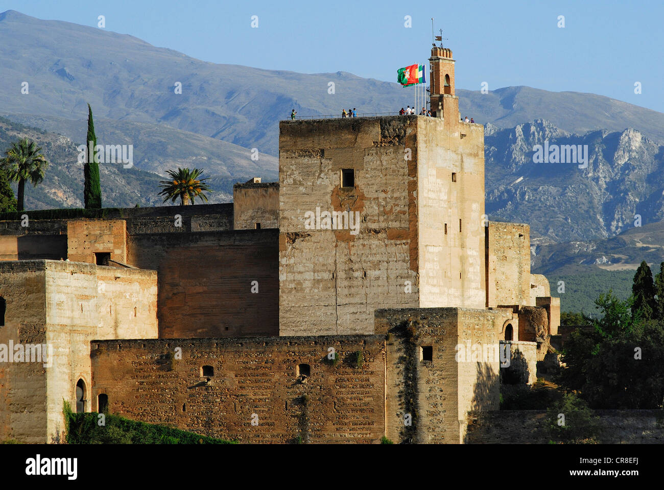 Spagna, Andalusia, Granada, l'Alcazaba dell'Alhambra Palace, patrimonio mondiale dell UNESCO, vista dall'Albaicin Garden Foto Stock
