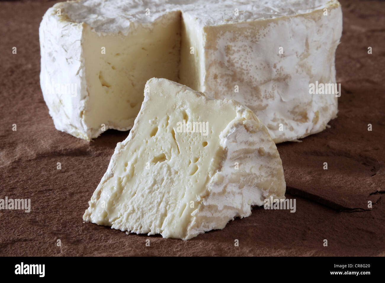 Francese di formaggio morbido su pietra arenaria Foto Stock