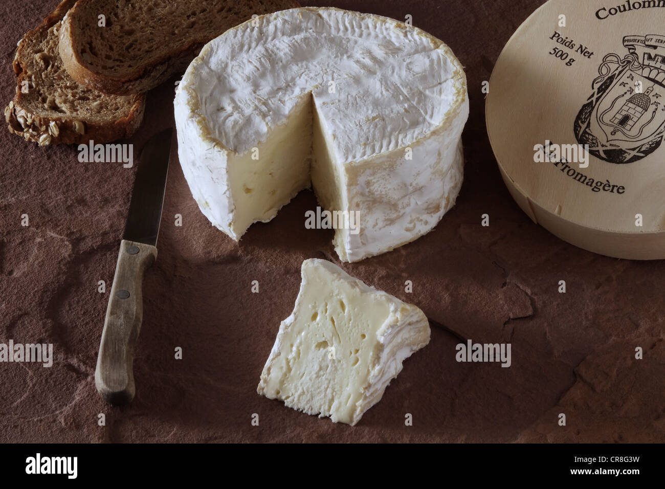 Francese di formaggio morbido su pietra arenaria Foto Stock