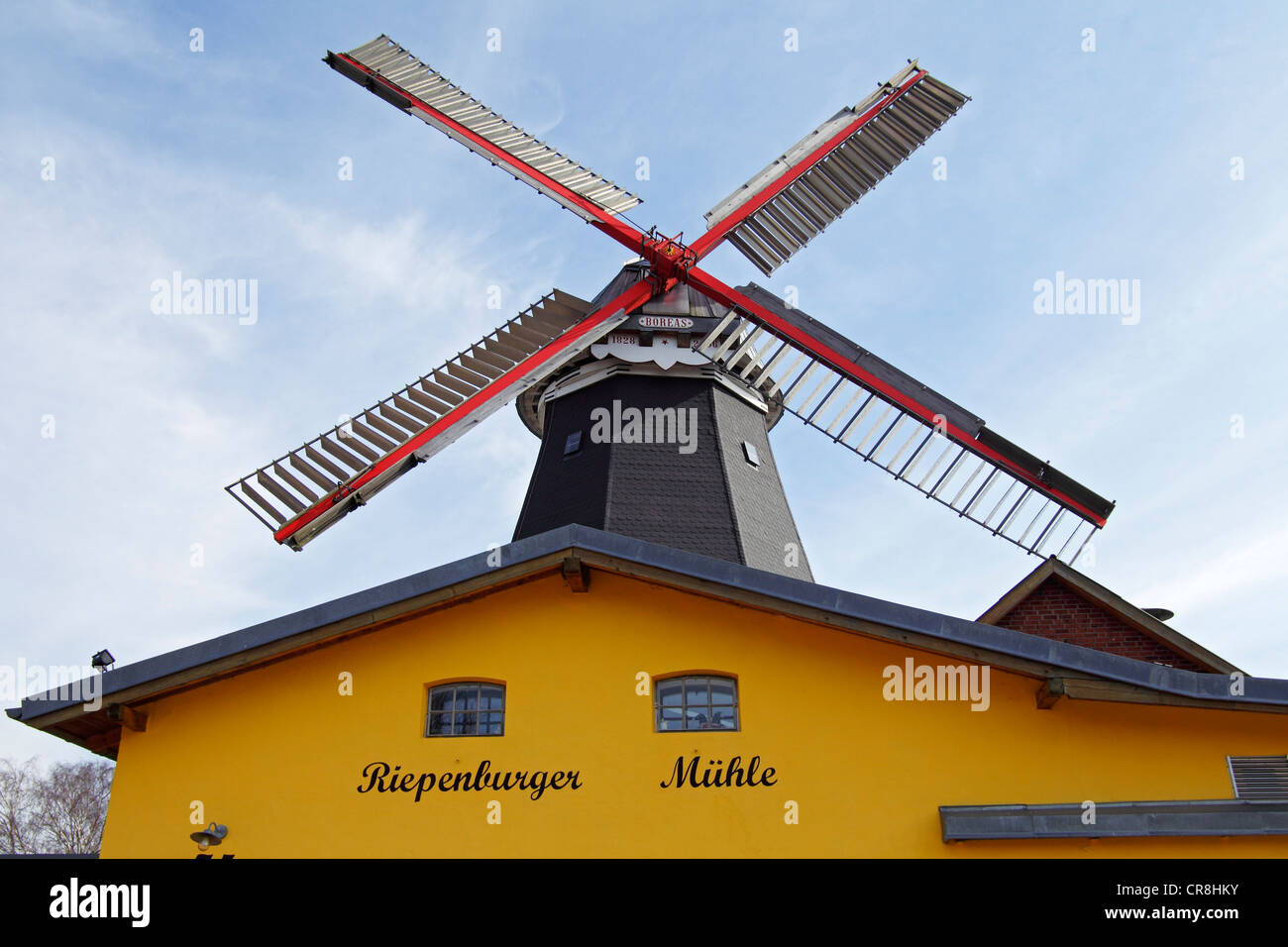 Riepenburger Muehle Boreas windmill in stile olandese, Kirchwerder, Vierlande, Vier- und Marschlande, Amburgo, Germania Foto Stock