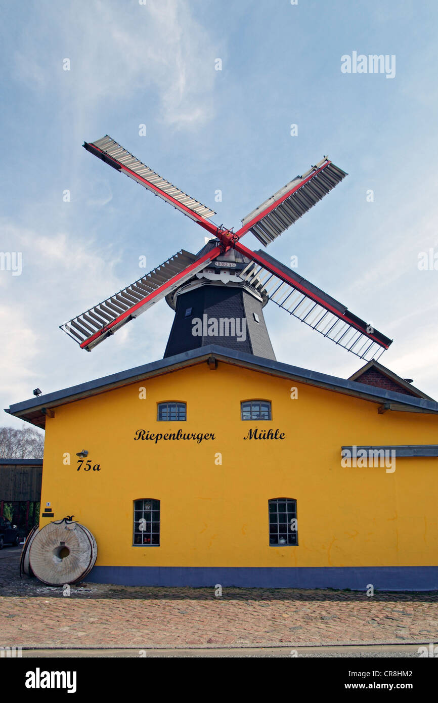 Riepenburger Muehle Boreas windmill in stile olandese, Kirchwerder, Vierlande, Vier- und Marschlande, Amburgo, Germania Foto Stock