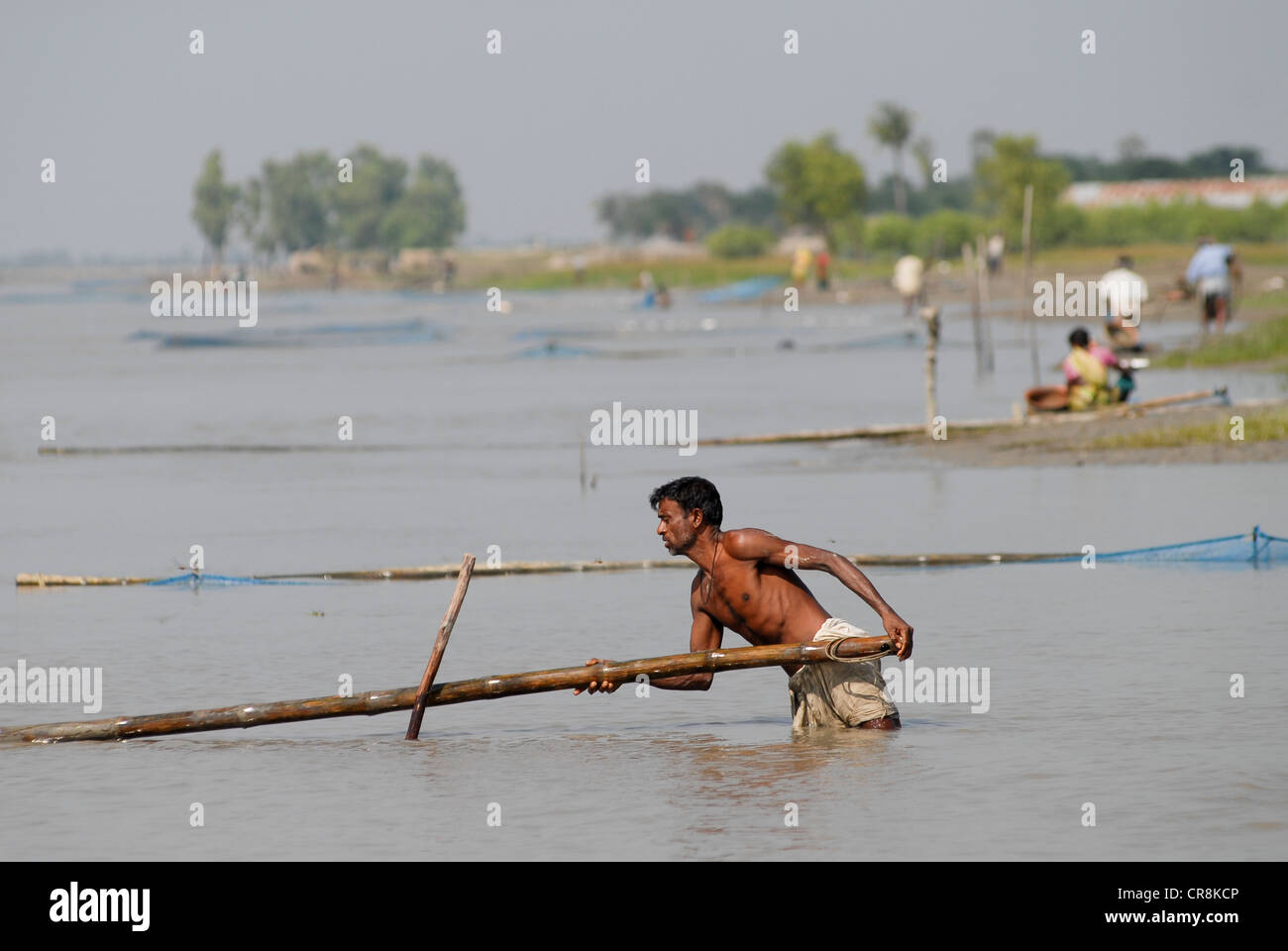 Bangladesh , villaggio Kalabogi presso il river Shibsha vicino alla baia del Bengala, i popoli sono i più colpiti dai cambiamenti climatici, pesce con ingranaggio net Foto Stock
