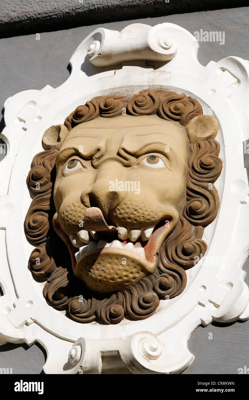 Testa di leone con la sua linguetta sporgente, decorazione scultorea su una facciata rinascimentale, Haus zum Stockfisch Museum, Erfurt Foto Stock