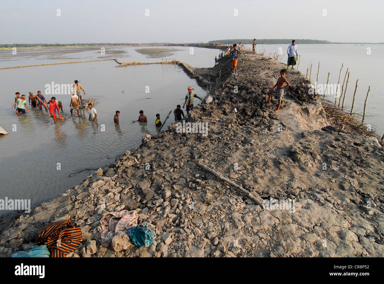 Bangladesh , villaggio Kalabogi presso il river Shibsha vicino alla baia del Bengala, i popoli sono i più colpiti dai cambiamenti climatici, gli abitanti di un villaggio di lavorare sul fango dike costruzione Foto Stock