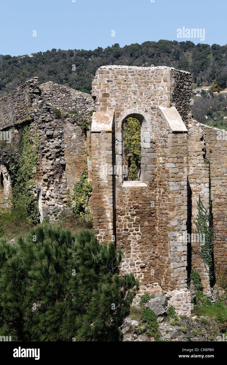 Rovine di Eglise Saint Pons chiesa, Collobrières, Massif des Maures, Provence-Alpes-Côte d'Azur, in Francia, in Europa Foto Stock