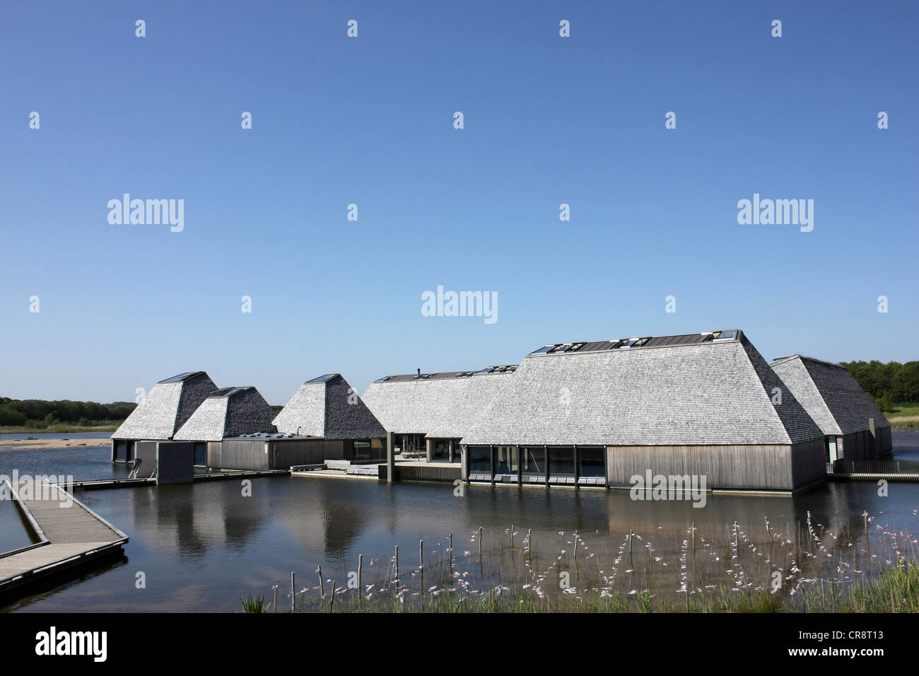 " Un Mondo Fluttuante' - il visitatore Village at Brockholes Riserva Naturale, Lancashire, Regno Unito Foto Stock