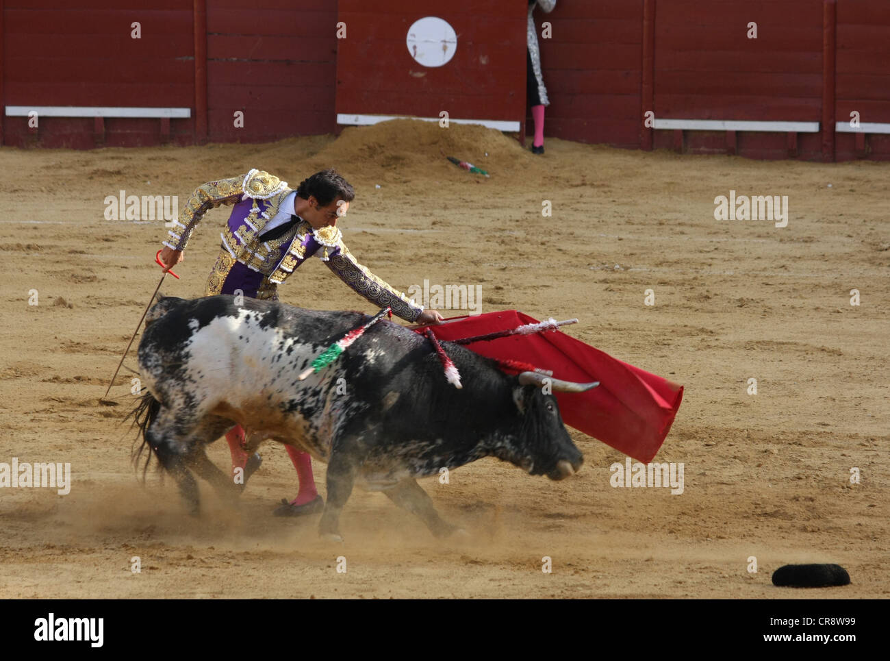 La corrida in Jerez de la Frontera, Spagna Foto Stock