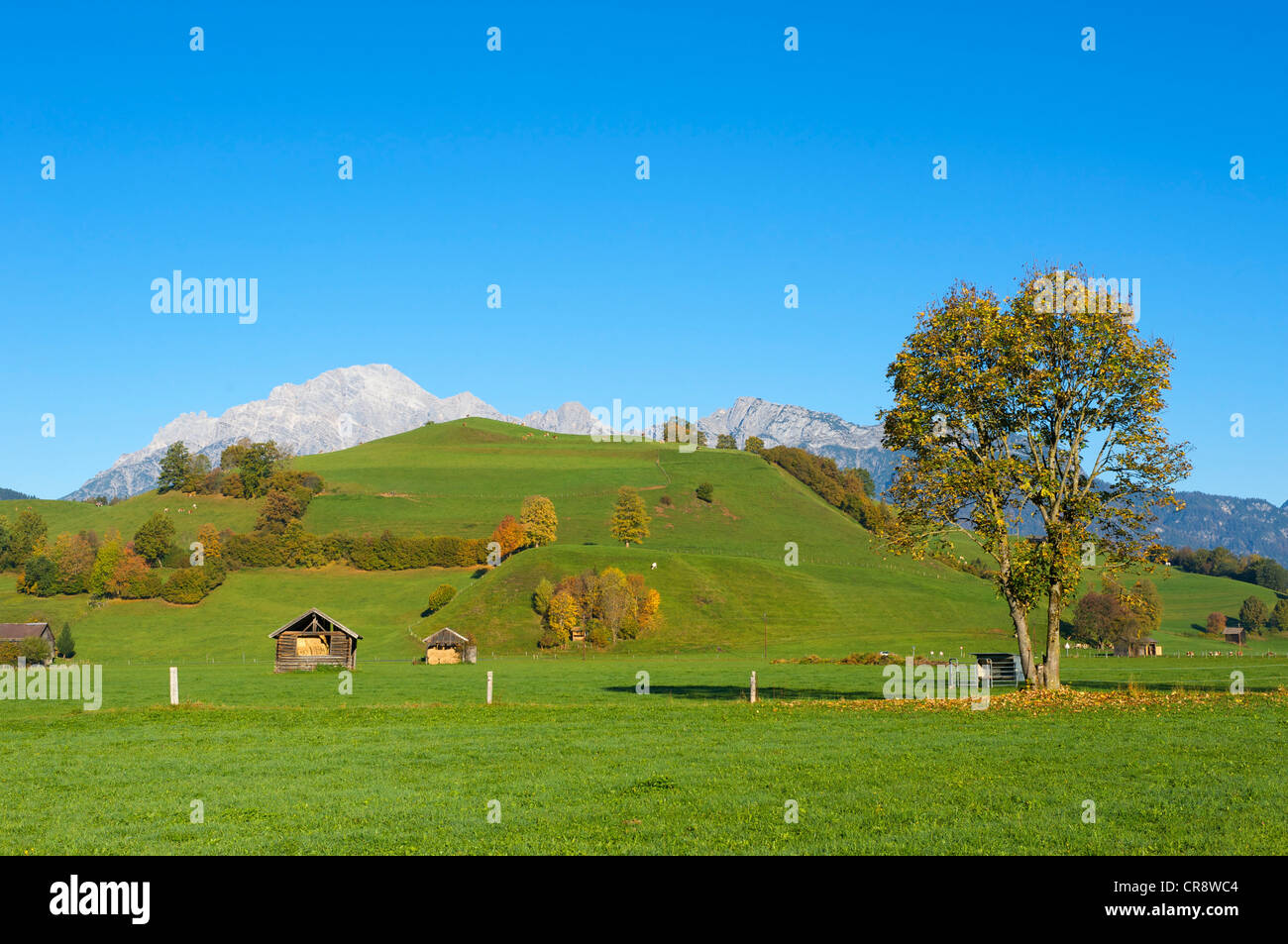 Visualizzare attraverso prati vicino a Saalfelden verso il Leoganger Steinberge, Leogang Pietra, montagne di Pinzgau, Salzburger Land Foto Stock