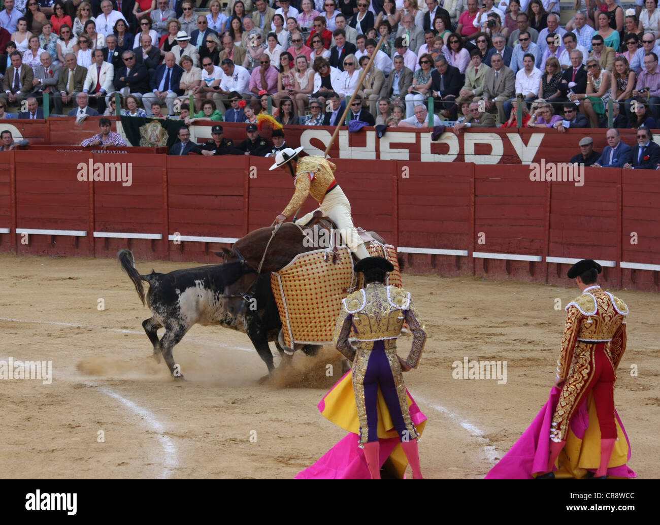 La corrida in Jerez de la Frontera in Spagna Foto Stock