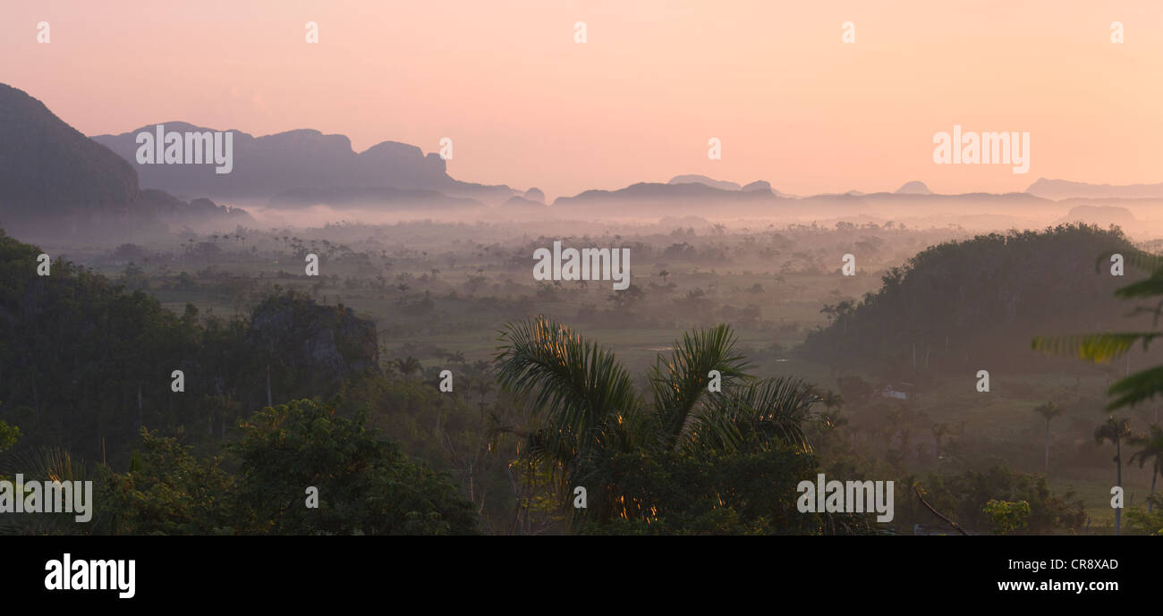 Colline calcaree, terreni agricoli e Palm tree forest nella nebbia mattutina, Vinales Valley, sito Patrimonio Mondiale dell'UNESCO, Cuba Foto Stock