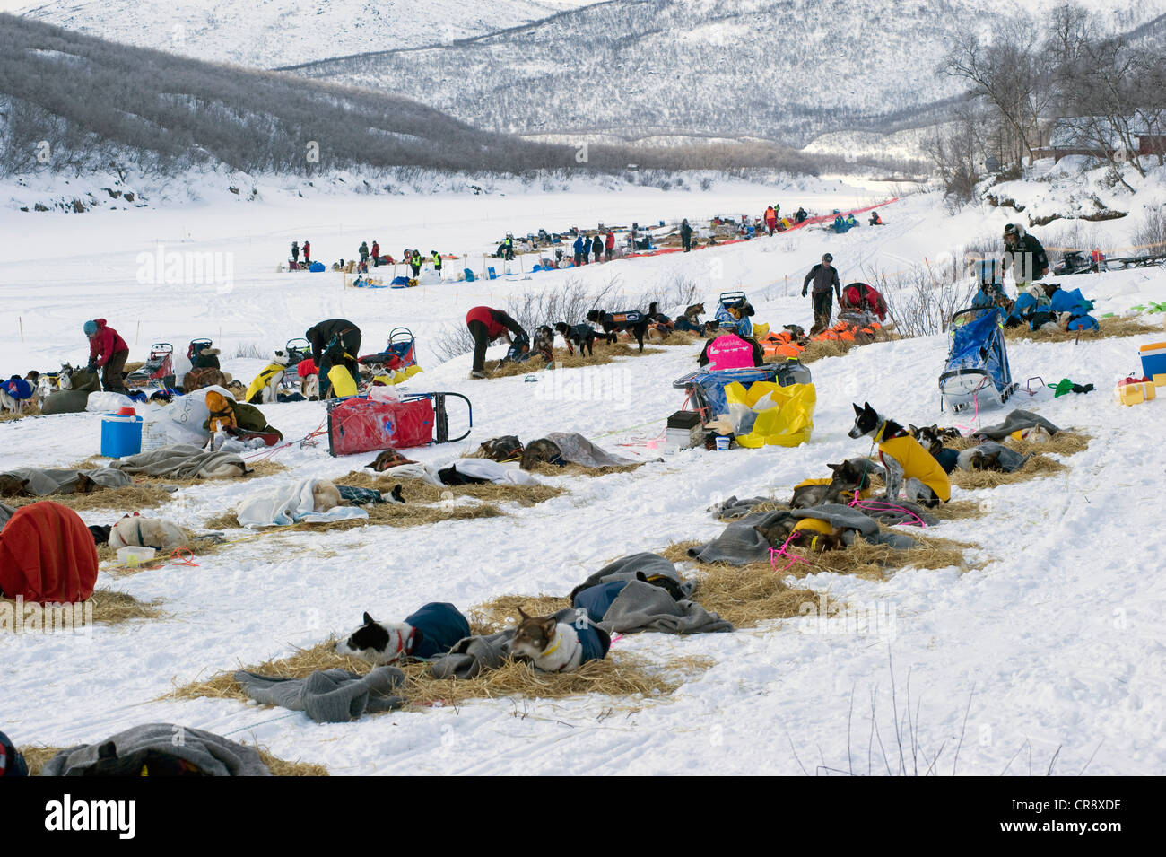 Levajok, una stazione di servizio della Finnmarksløpet, più settentrionale della Sled Dog Race in tutto il mondo, Levajok, Finnmark, Lapponia, Norvegia Foto Stock