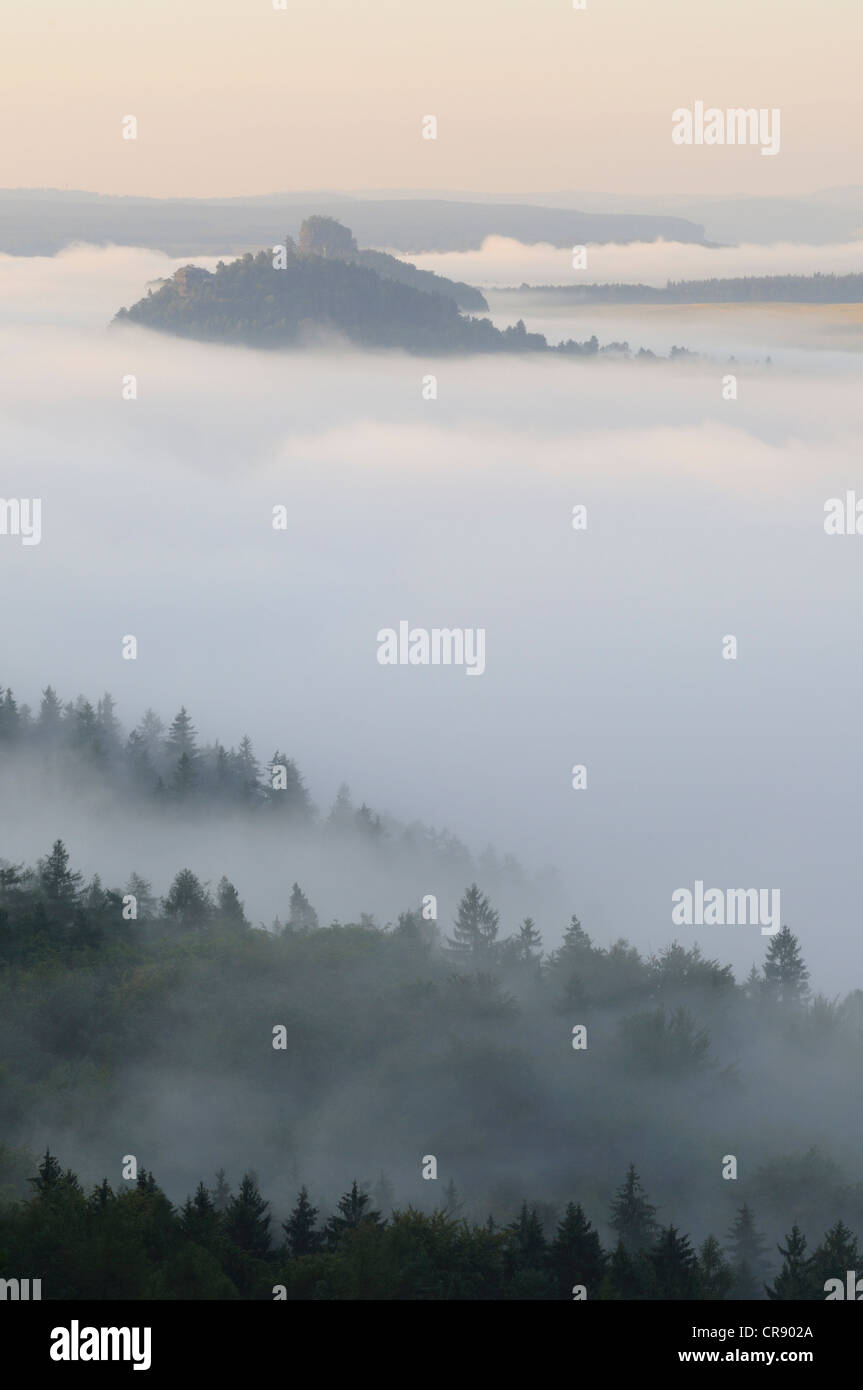 La nebbia sopra il fiume Elba ELBA, montagne di arenaria, Sassonia, Germania, Europa Foto Stock