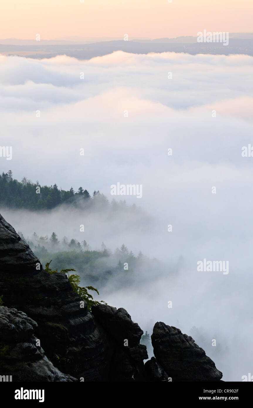 La nebbia sopra il fiume Elba in montagne di roccia arenaria dell'Elba, in Sassonia, Germania, Europa Foto Stock