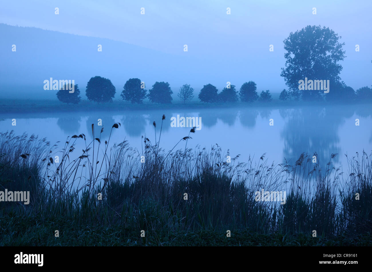 Ora blu, alba a uno stagno di pesci in Turingia, Germania, Europa Foto Stock
