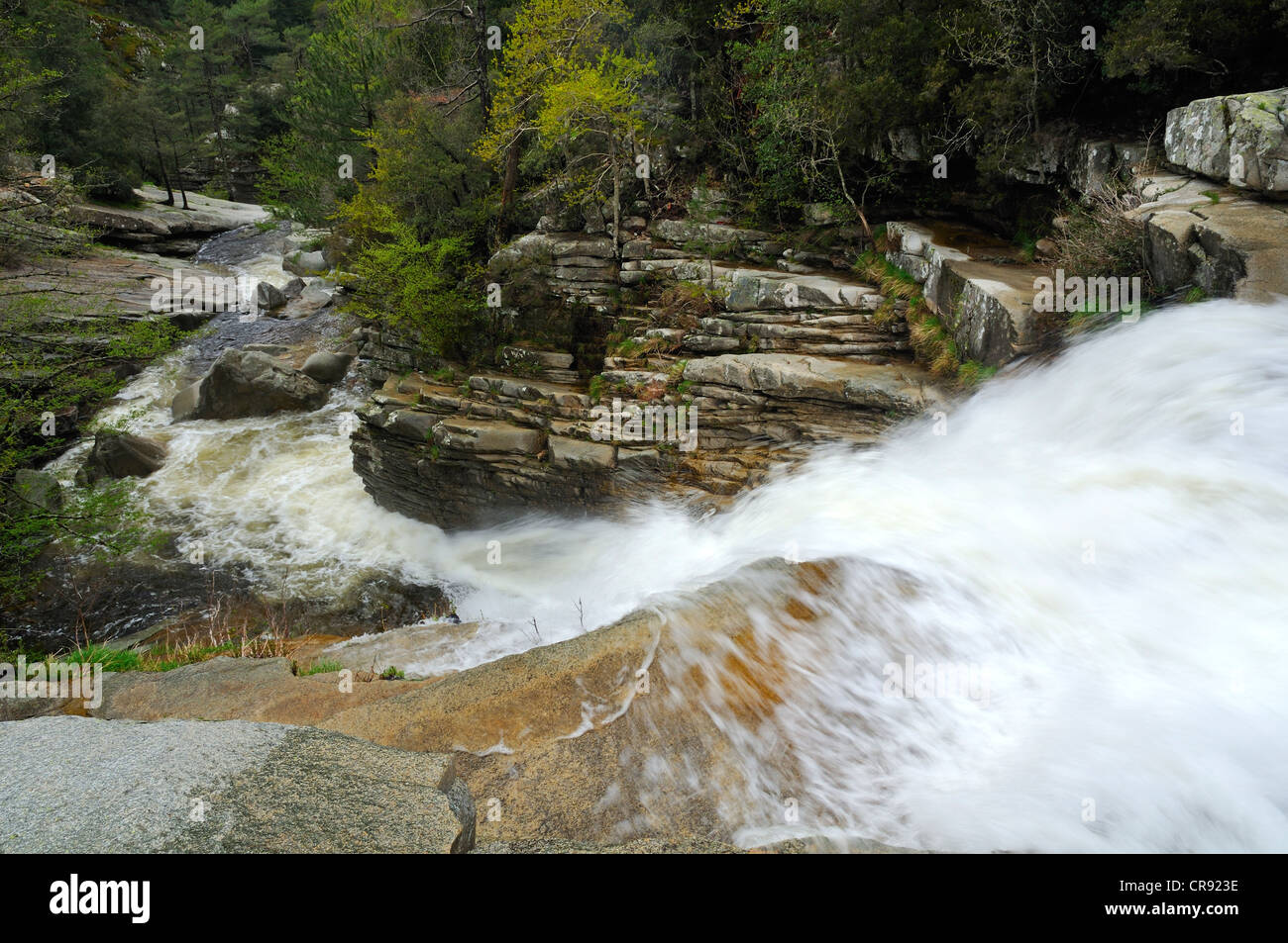 Cascata sulla piscine d'Aitone, Corsica, Francia, Europa Foto Stock