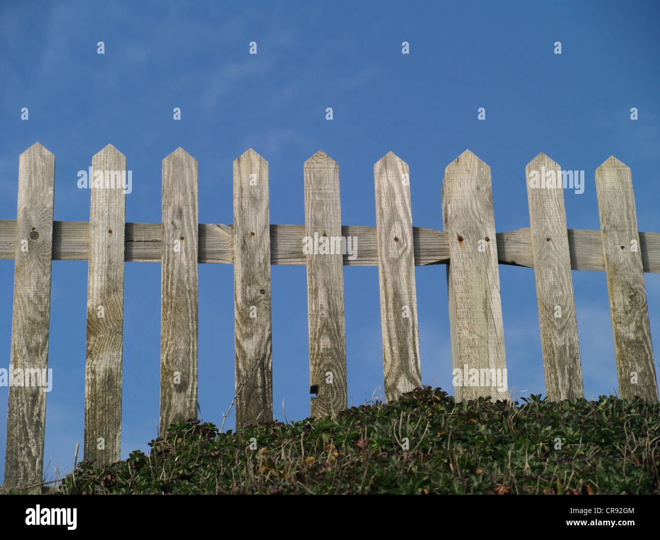 In legno non verniciata naturale Picket Fence contro un profondo cielo blu Foto Stock