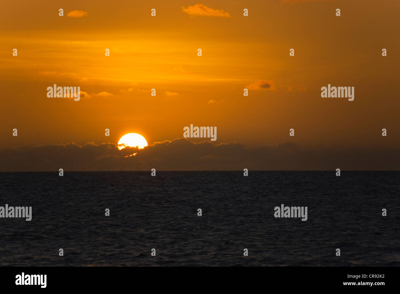 Oceano al tramonto, Roatan Island, Honduras Foto Stock
