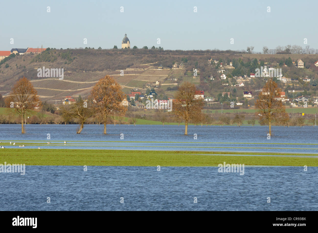 Acque alluvionali nei fiumi Saale-Unstrut regioni, Sassonia-Anhalt, Germania, Europa Foto Stock