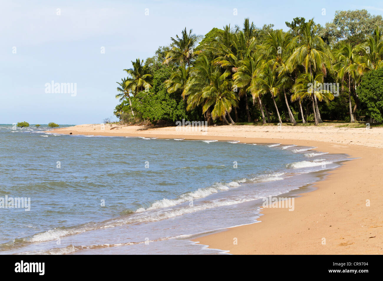 Spiaggia di sabbia con palme di cocco a nord di Townsville, Queensland, Australia Foto Stock