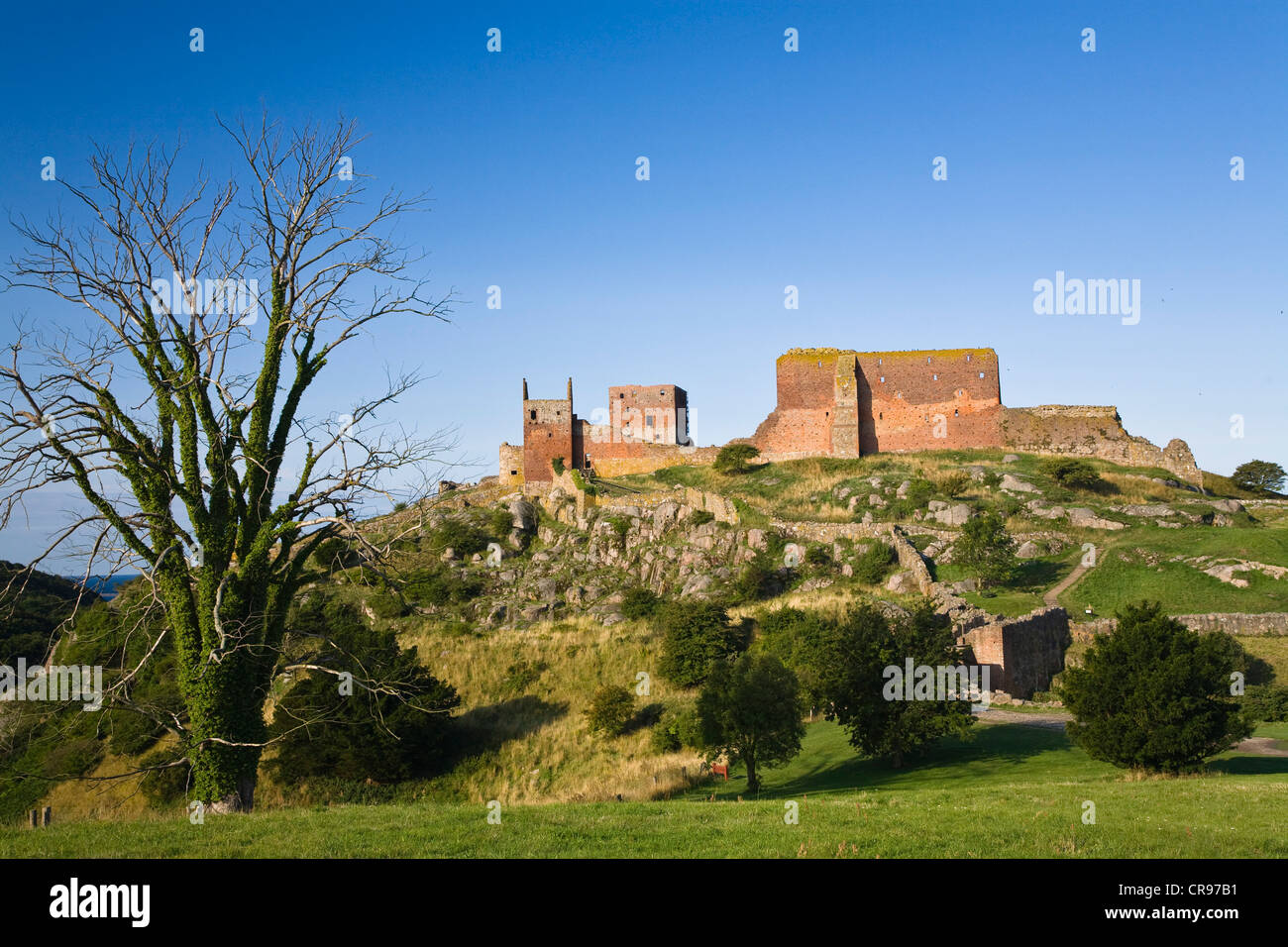 Il castello di Hammershus rovine, Bornholm, Danimarca, Europa Foto Stock
