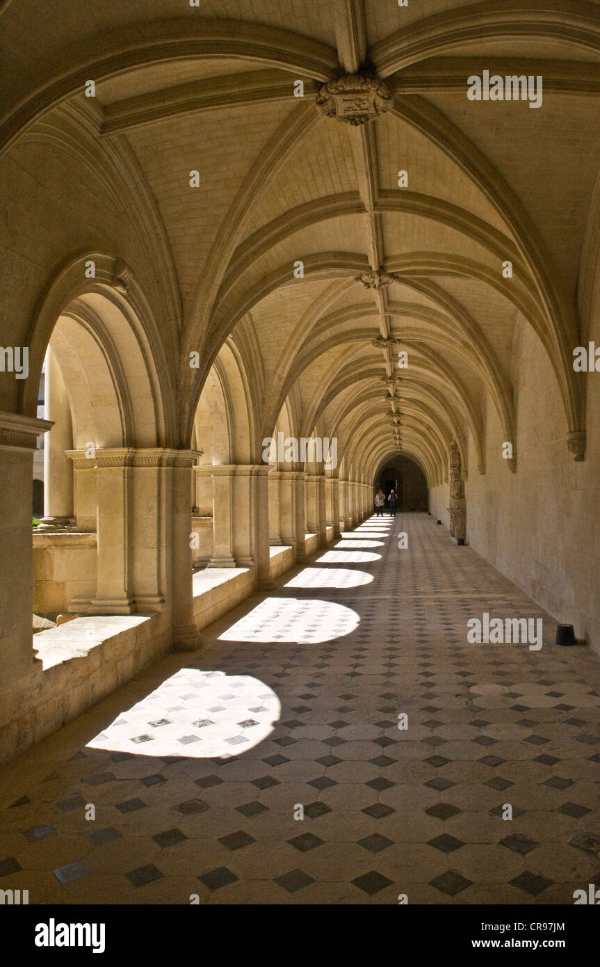 Chiostro medievale, l'Abbaye de Fontevraud abbey, Aquitaine romanico, costruito dal 1105 al 1160, Fontevraud-l'Abbaye. Foto Stock