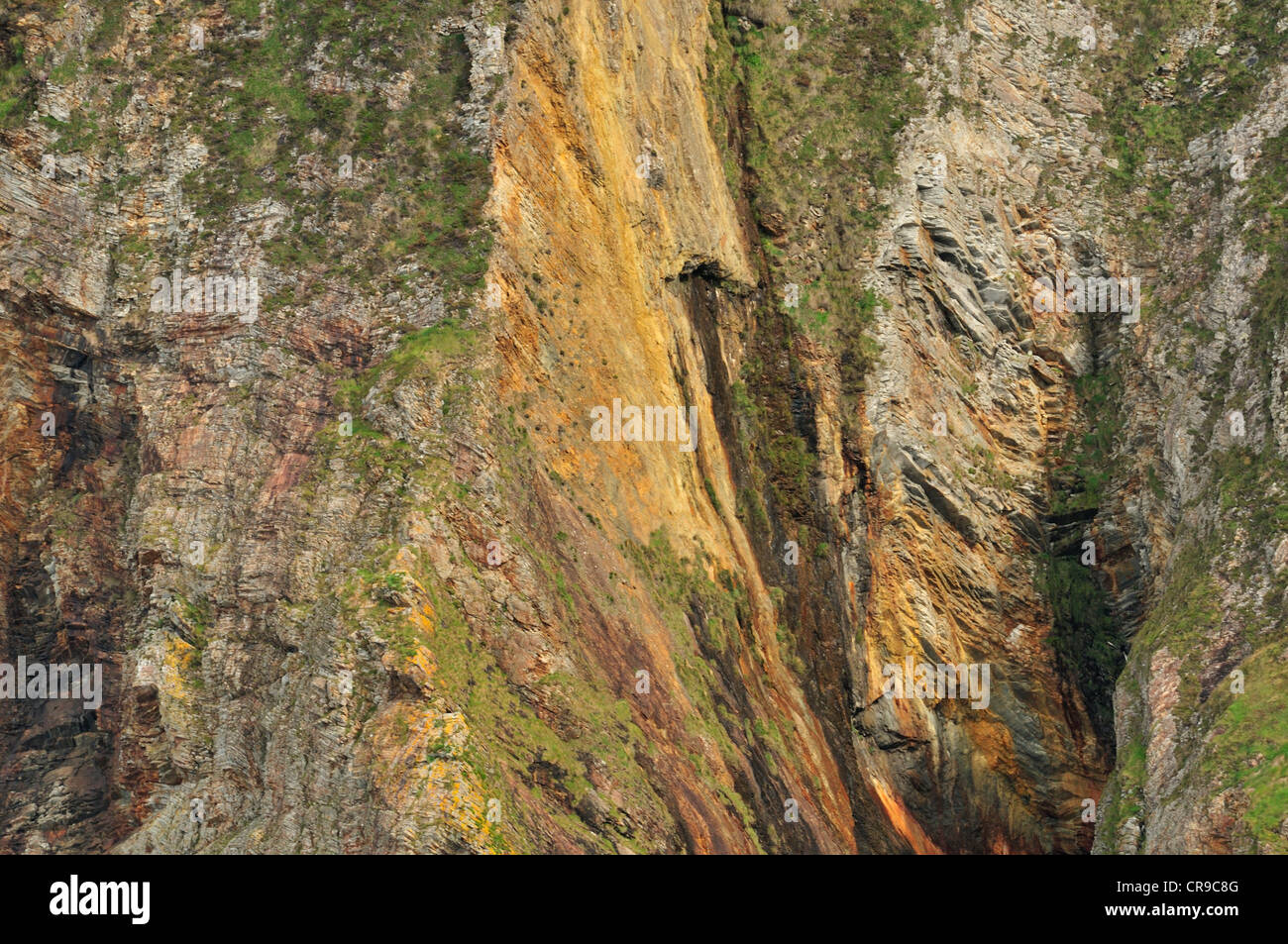 Slieve League, rupi più alte in Europa, Bunglass Point, County Donegal, Repubblica di Irlanda, Europa Foto Stock